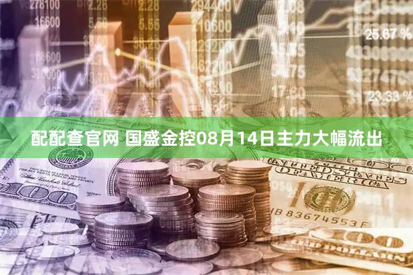 配配查官网 国盛金控08月14日主力大幅流出
